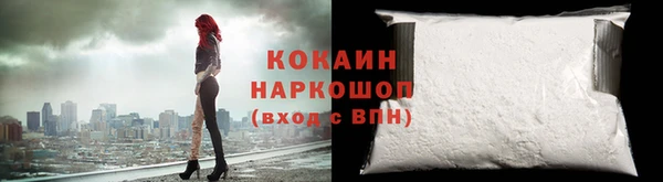 гашик Зеленокумск